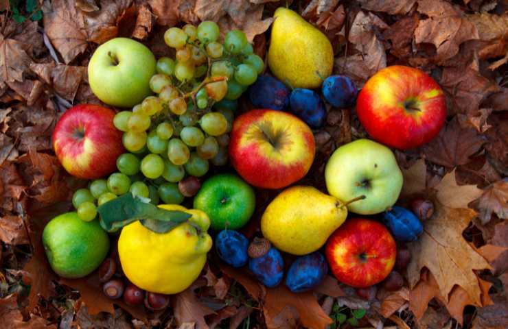 frutta autunnale