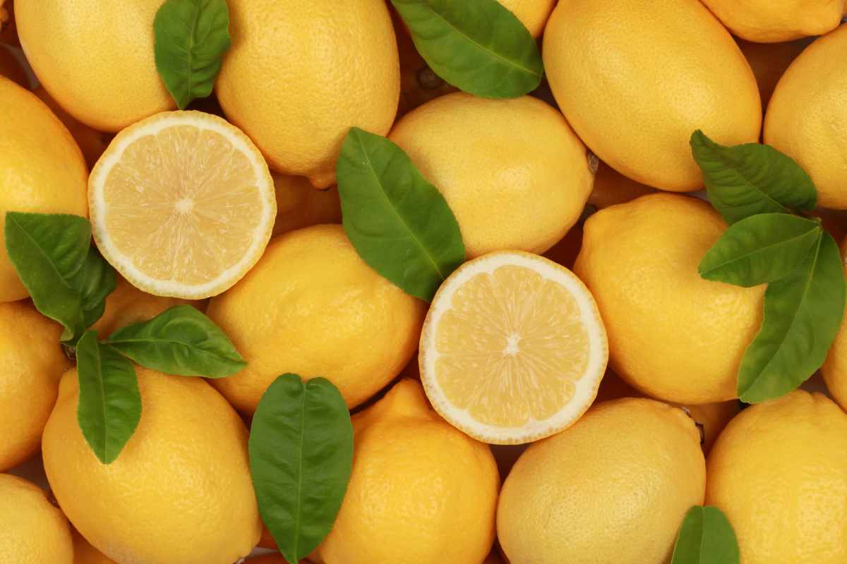 limoni