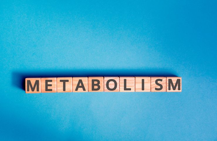 metabolismo 