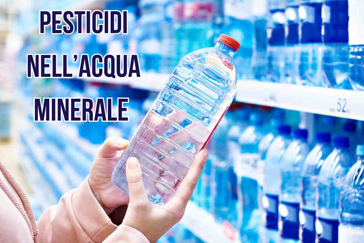 pesticidi acqua minerale