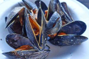 Cozze nere a tavola