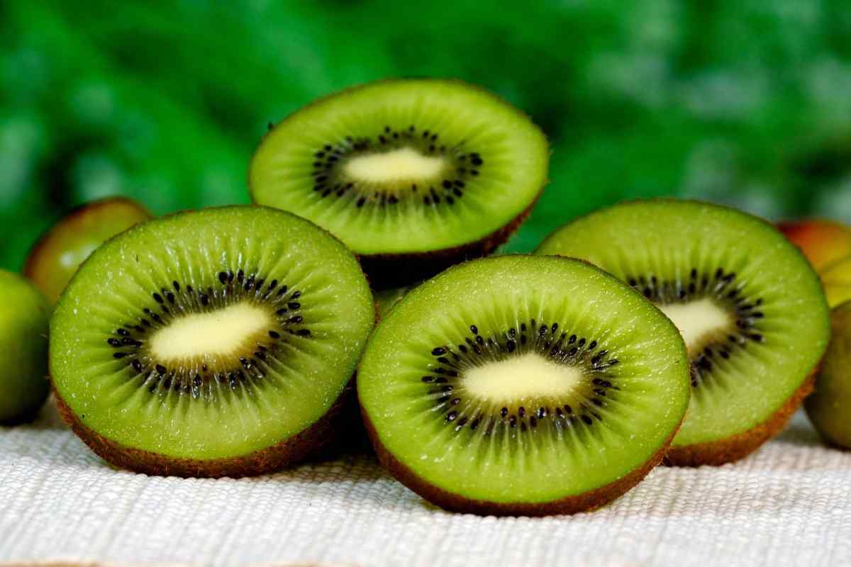 Kiwi appena raccolti