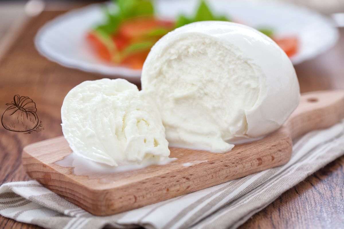 Mozzarella