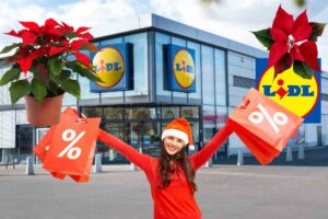 Piante in offerta da Lidl