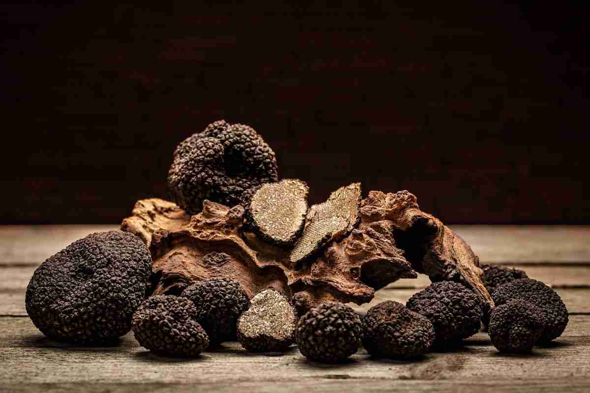 tartufo 