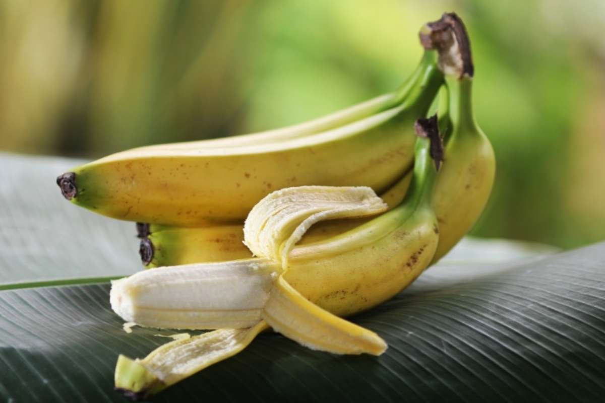 Banane 