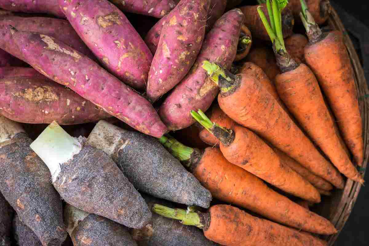 Carote e patate proprietà