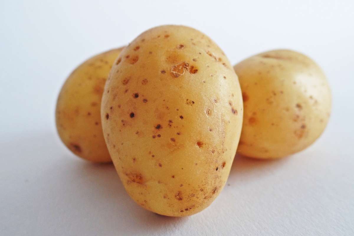 Patate