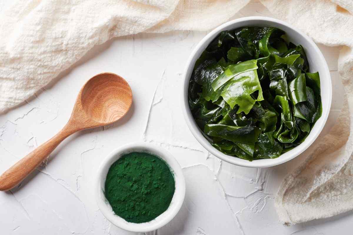 Spirulina cos'è