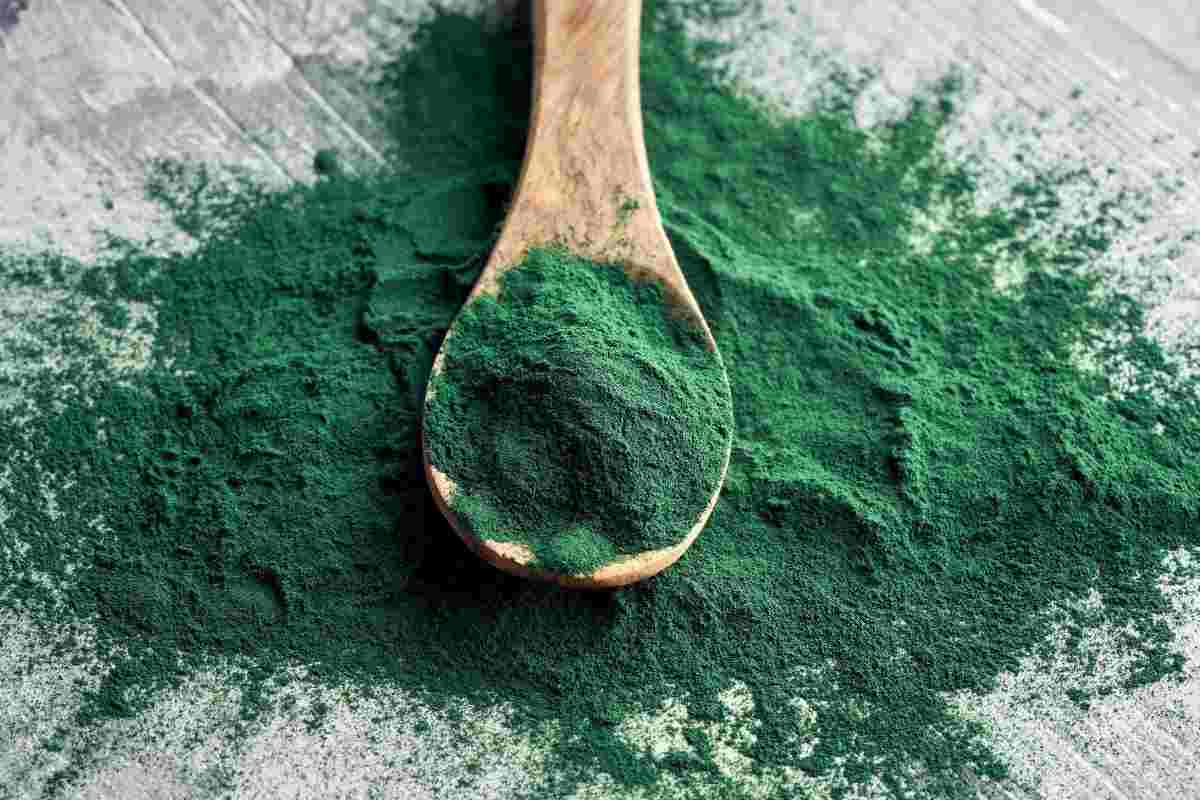 Spirulina qualità