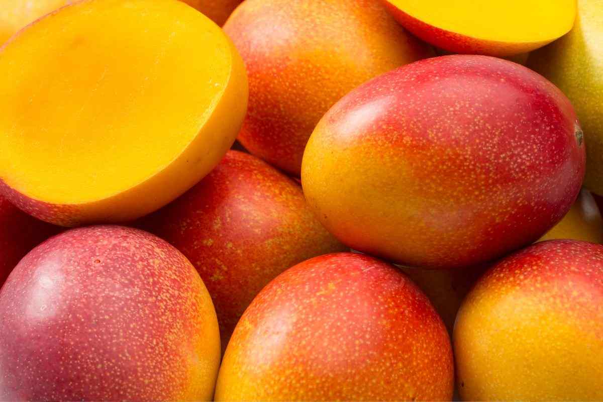 Mango