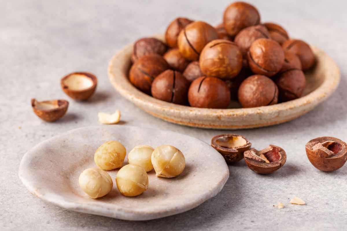 noci macadamia cosa fanno