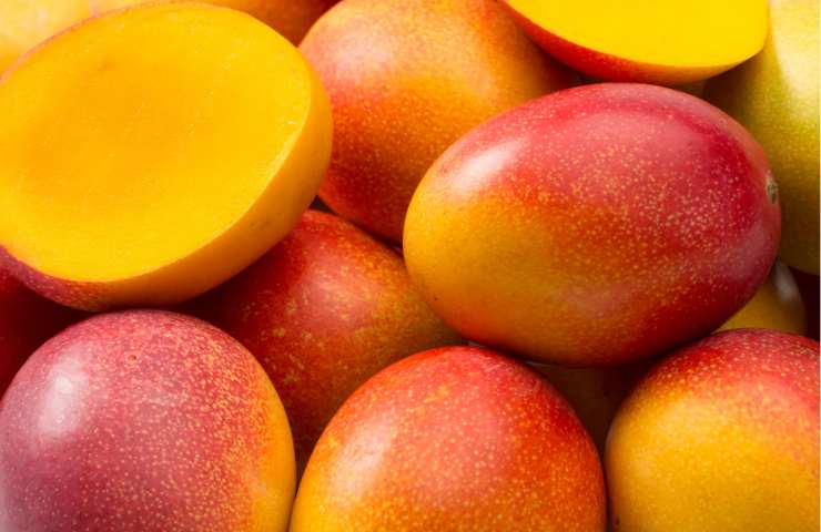 Mango