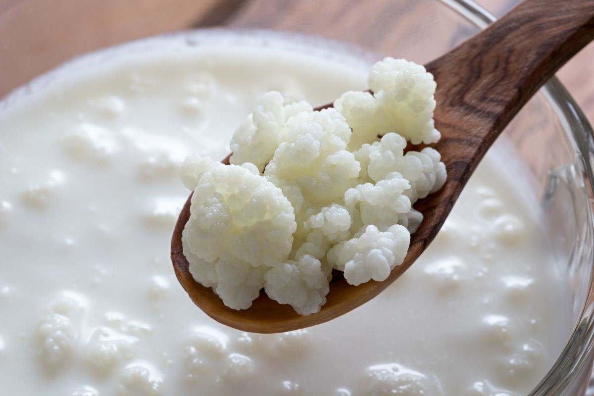 Cucchiaio di kefir