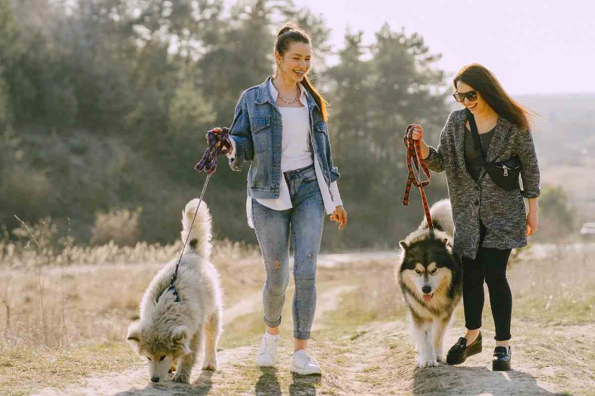 Due amiche portano a spasso i loro cani