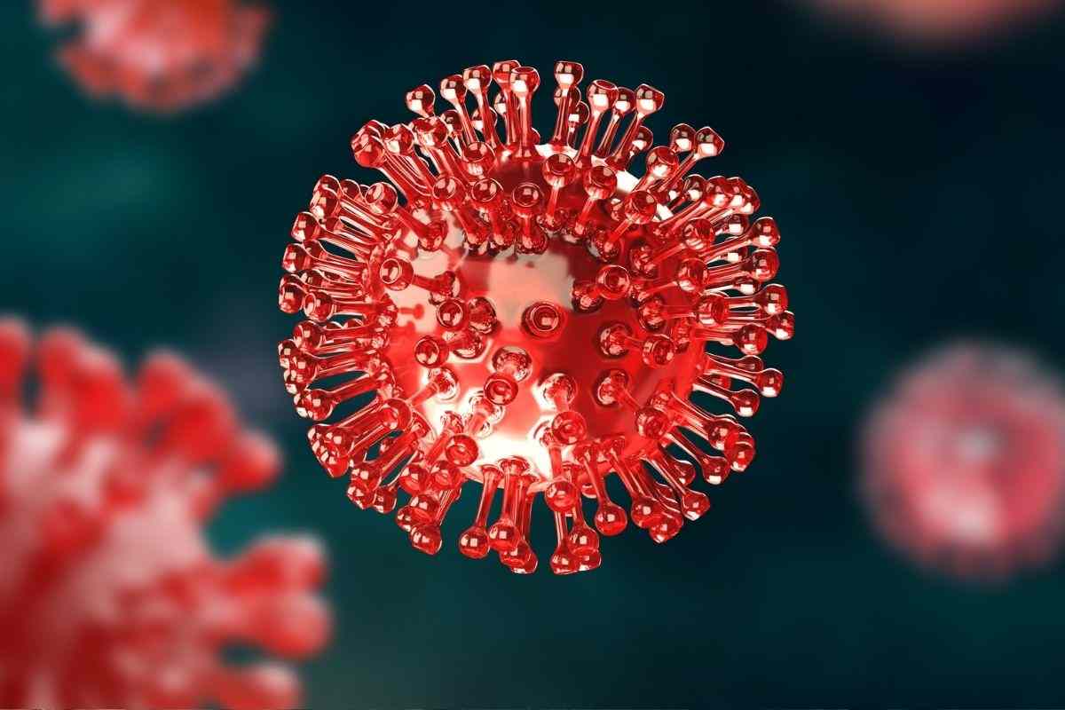 Nuovo coronavirus