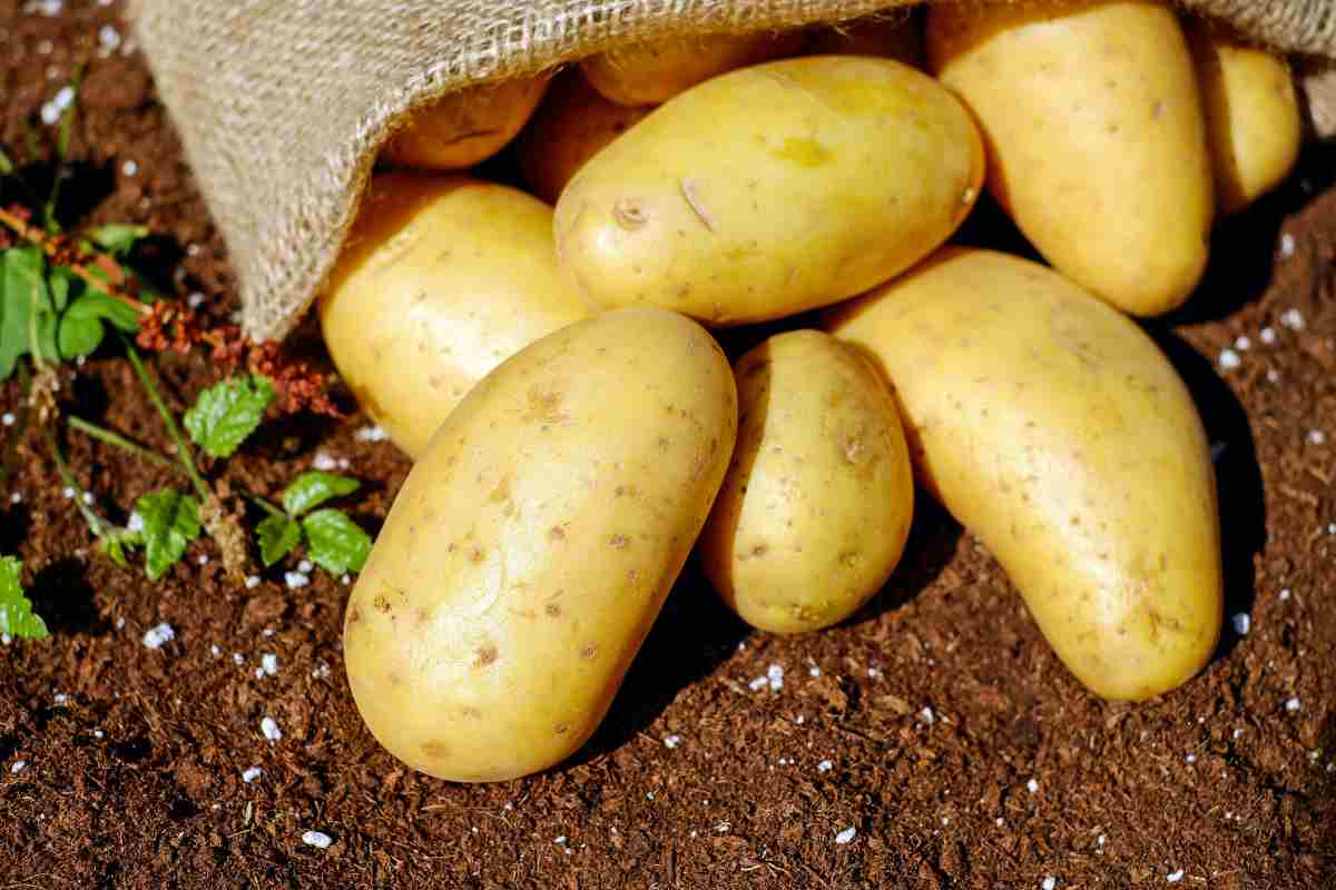 patate con buccia