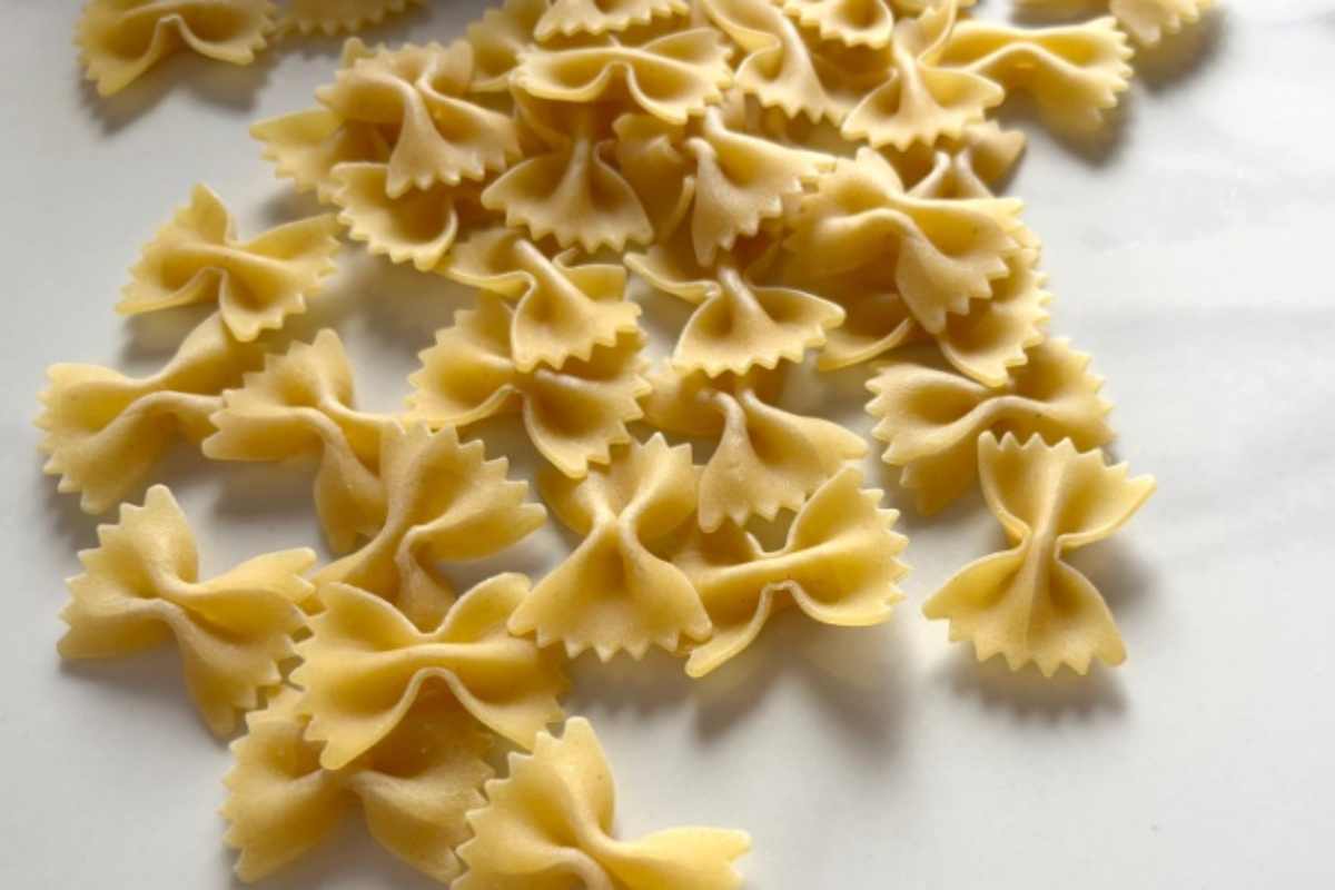 Primo piano delle farfalle