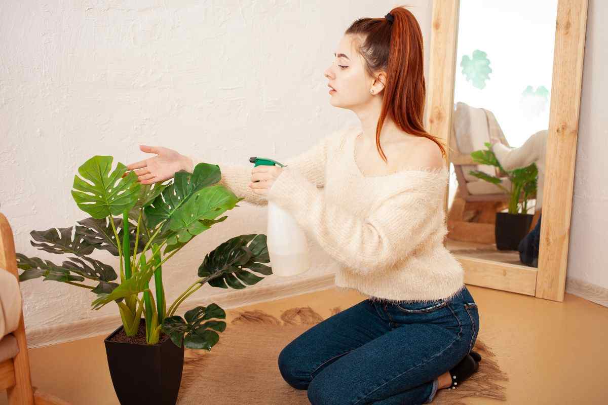 Ragazza annaffia pianta di casa