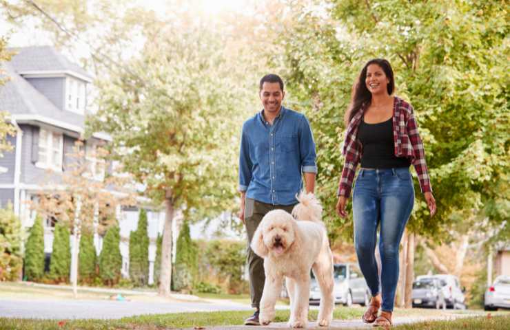 camminare in coppia con il cane