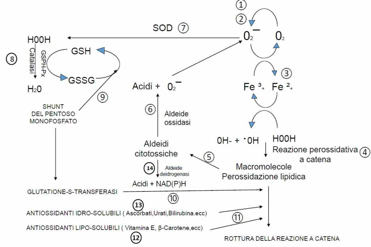 schema reazioni chimiche