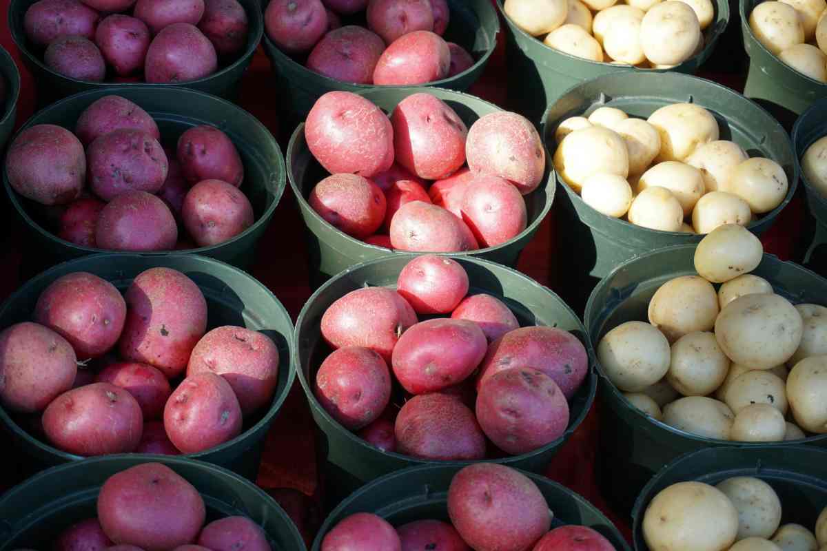 Dietologa me le ha assegnate al posto delle patate normali