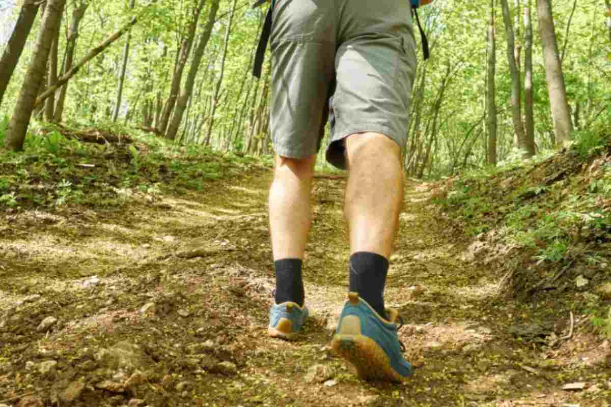 Persona cammina nel bosco