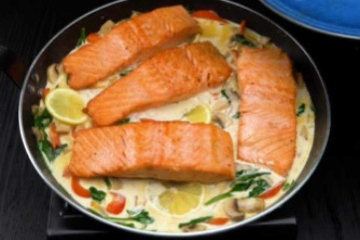 salmone 