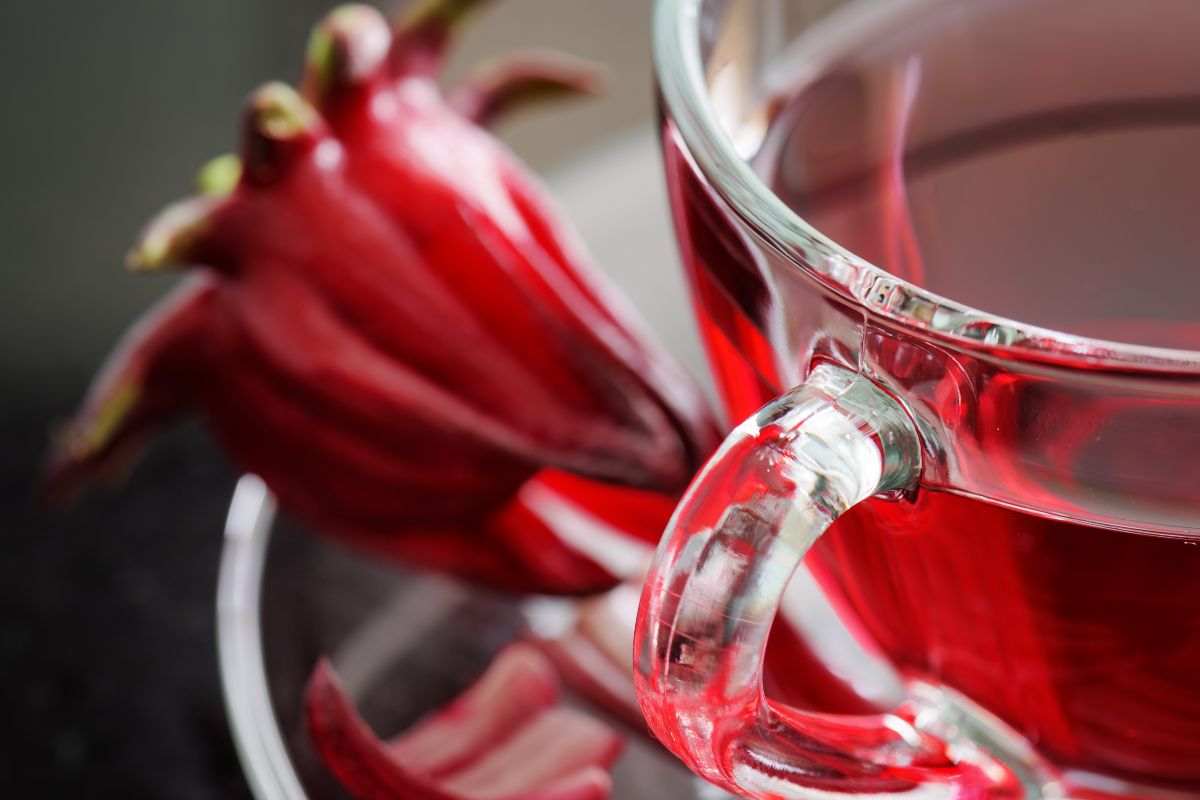 fiore di ibisco vicino ad una tisana rossa in tazza di vetro