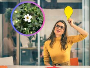 donna che pensa e che guarda una cornice con all'interno una pianta verde e fiori bianchi