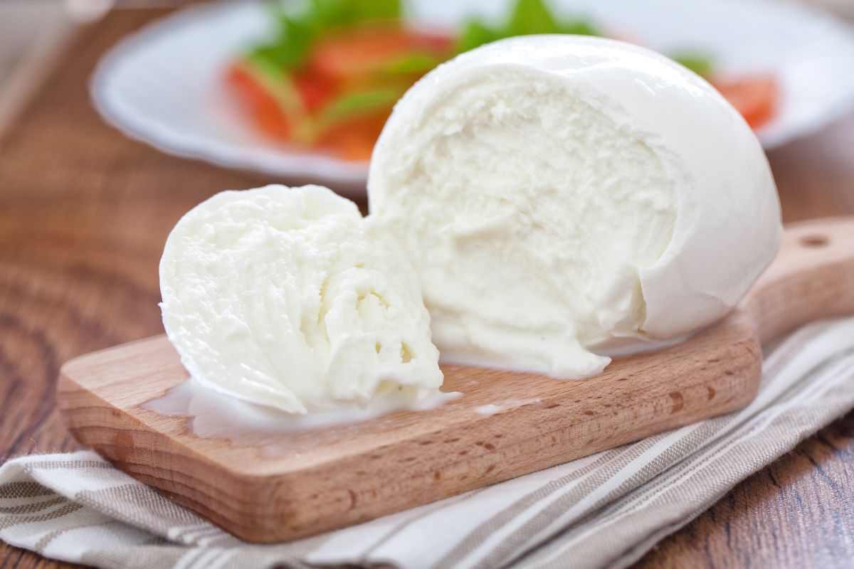 mozzarella di bufala