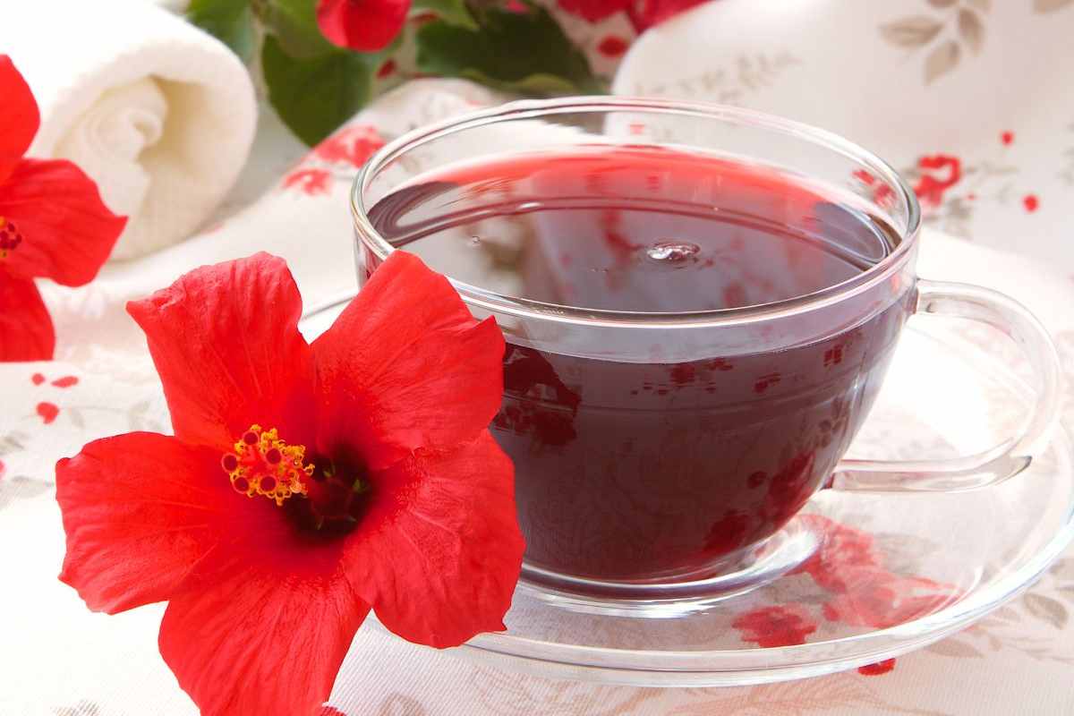 tisana all'ibisco in tazza trasparente vicino dei fiori di ibisco